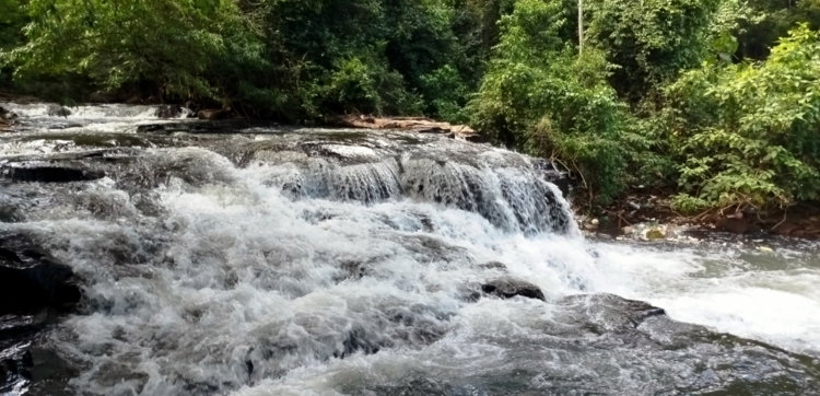Cachoeira-do-boicy.jpg cachoeira do boicy